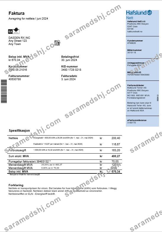 Norway Hafslund business utility bill Word and PDF template